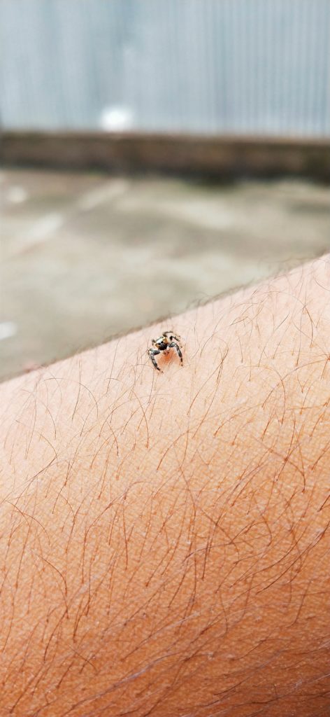 tick on finger