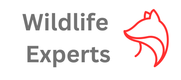 Wildlife Experts